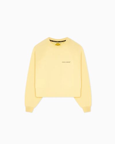 Toppar - Cropped Ivy Sweater – Lemon