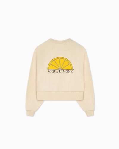 Tröjor/Koftor - Cropped ivy sweater –  Khaki